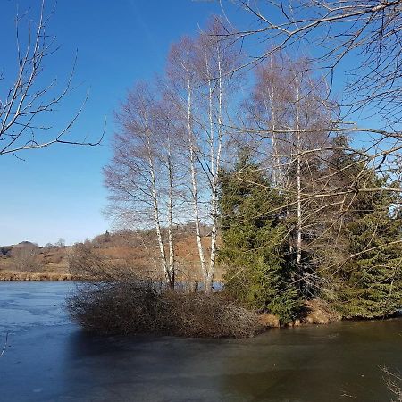 Fermette typique auvergnate dans son écrin d'eau et de verdure Saint-Donat Extérieur photo