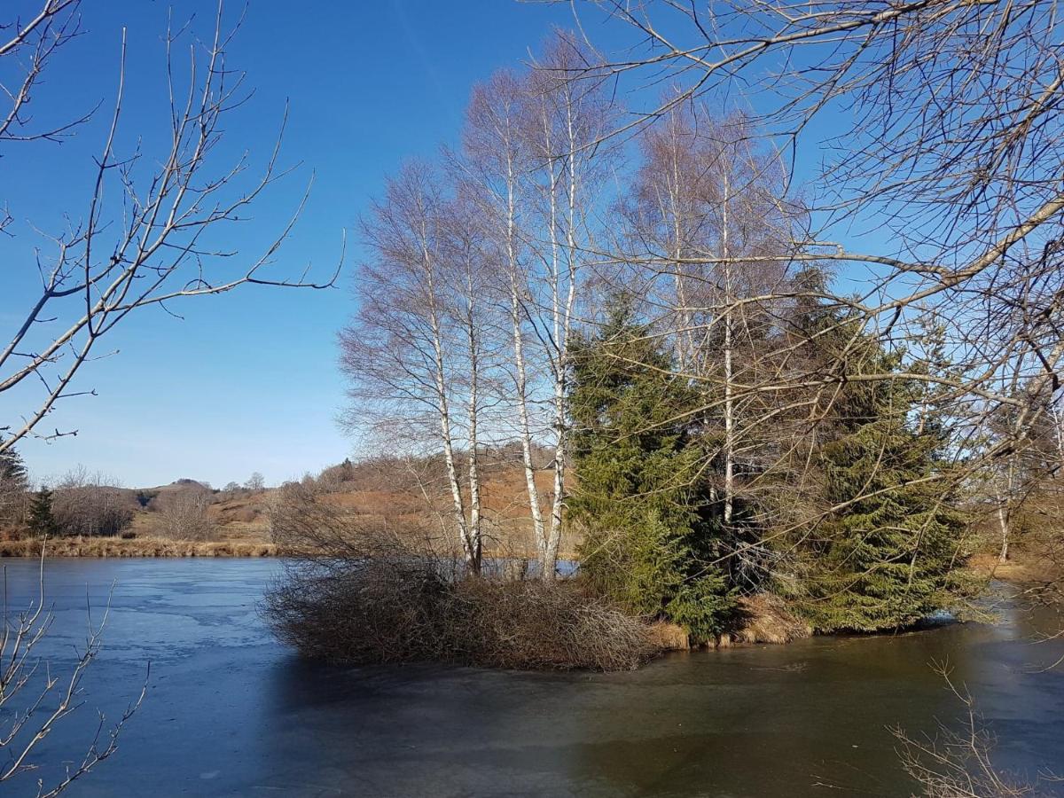 Fermette typique auvergnate dans son écrin d'eau et de verdure Saint-Donat Extérieur photo