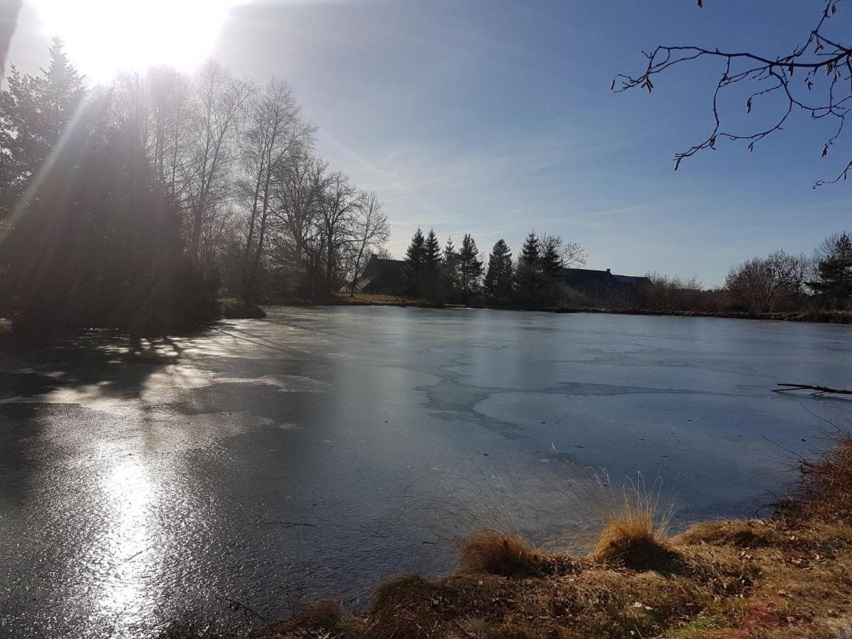 Fermette typique auvergnate dans son écrin d'eau et de verdure Saint-Donat Extérieur photo